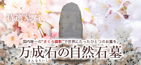 万成石(まんなりいし)の自然石墓